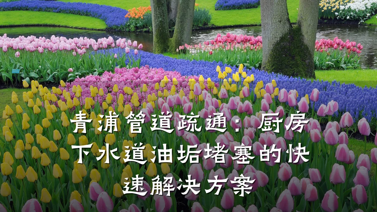 青浦管道疏通:厨房下水道油垢堵塞的快速解决方案