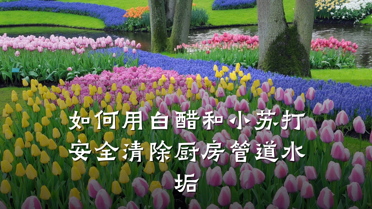 如何用白醋和小苏打安全清除厨房管道水垢