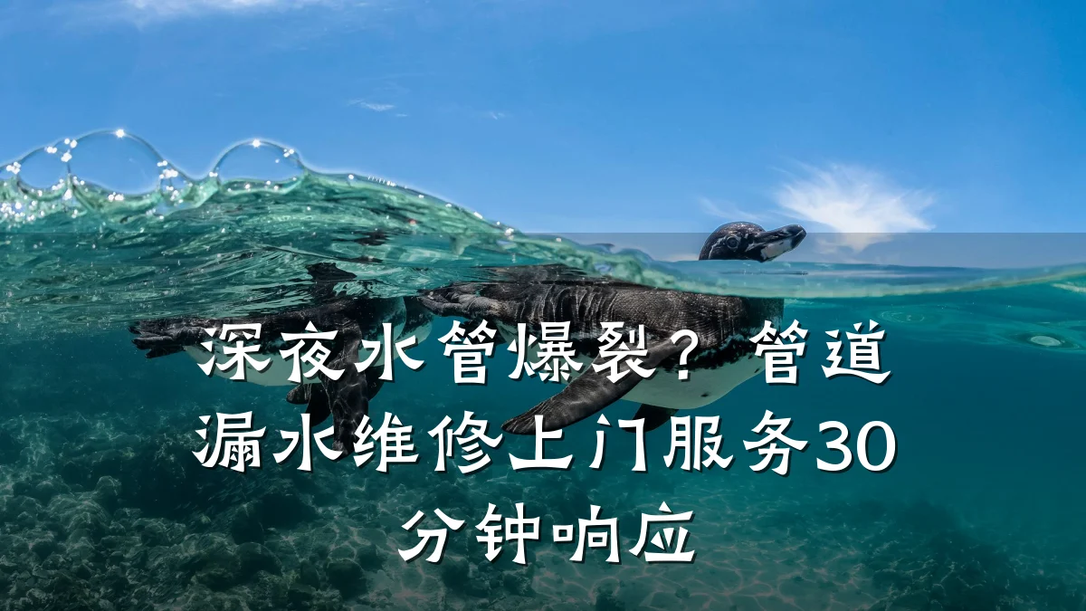 深夜水管爆裂?管道漏水维修上门服务30分钟响应