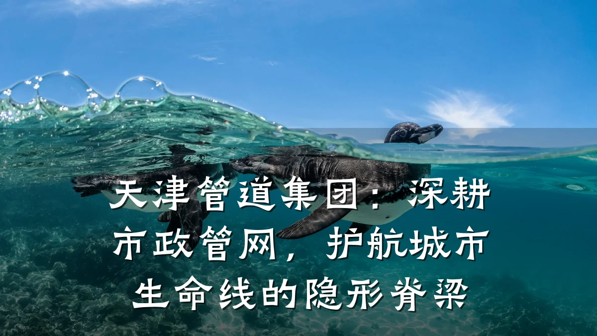 天津管道集团：深耕市政管网，护航城市生命线的隐形脊梁