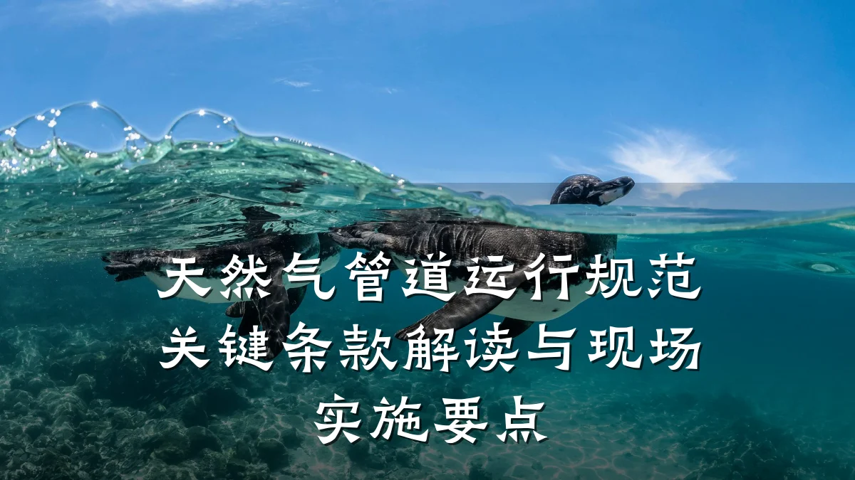 天然气管道运行规范关键条款解读与现场实施要点