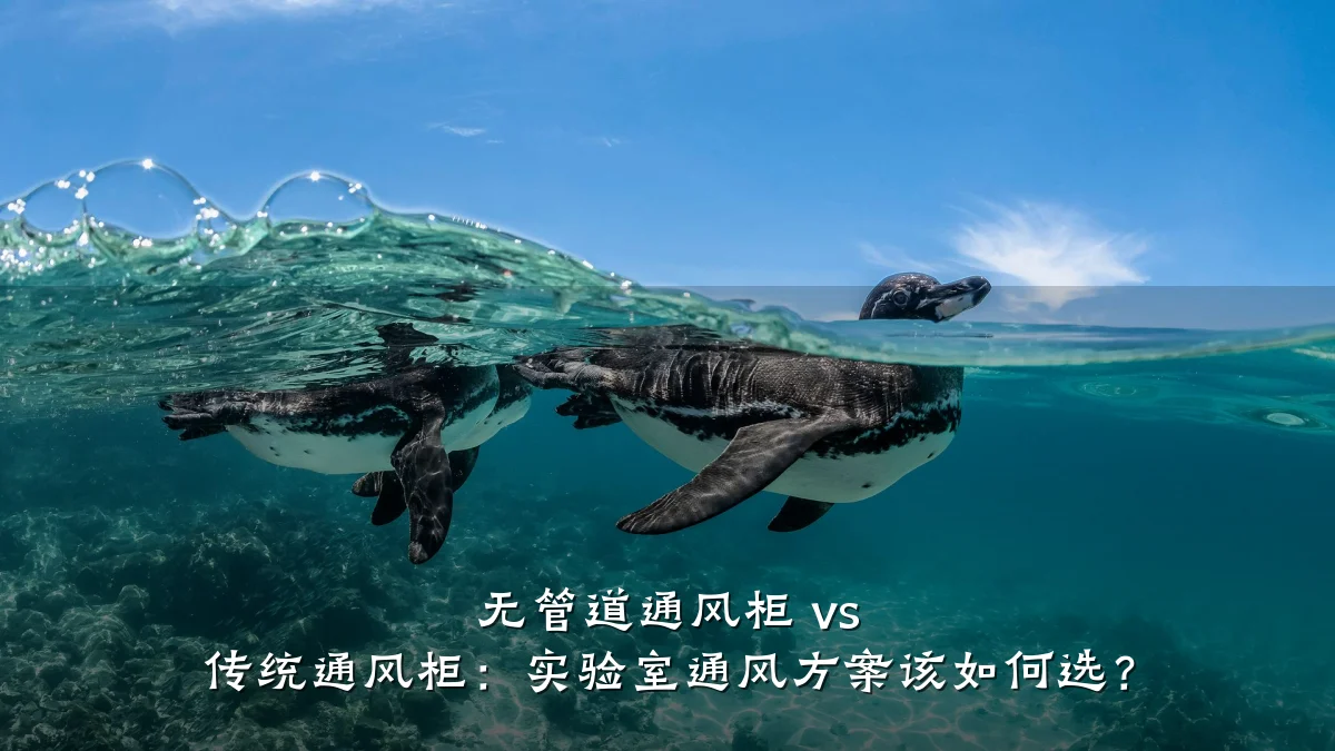 无管道通风柜 vs 传统通风柜:实验室通风方案该如何选?