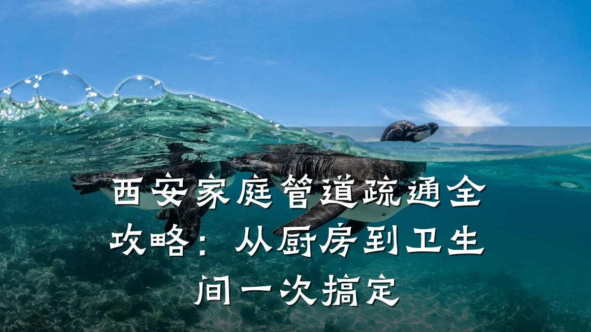 西安家庭管道疏通全攻略:从厨房到卫生间一次搞定