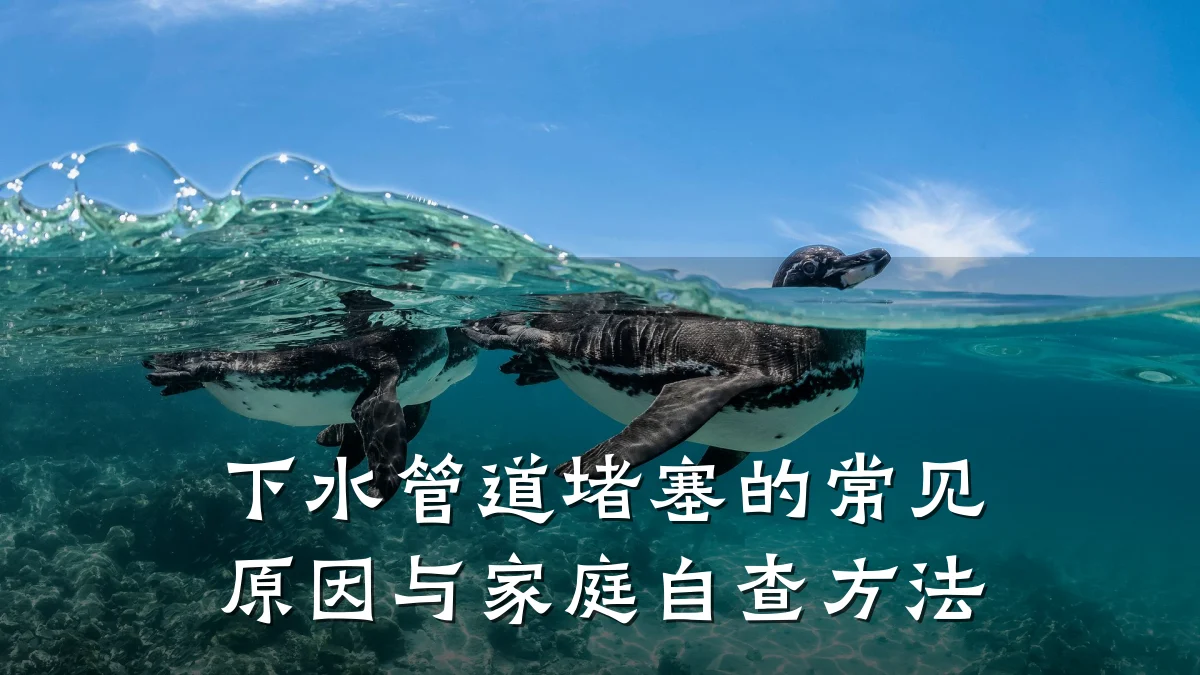 下水管道堵塞的常见原因与家庭自查方法