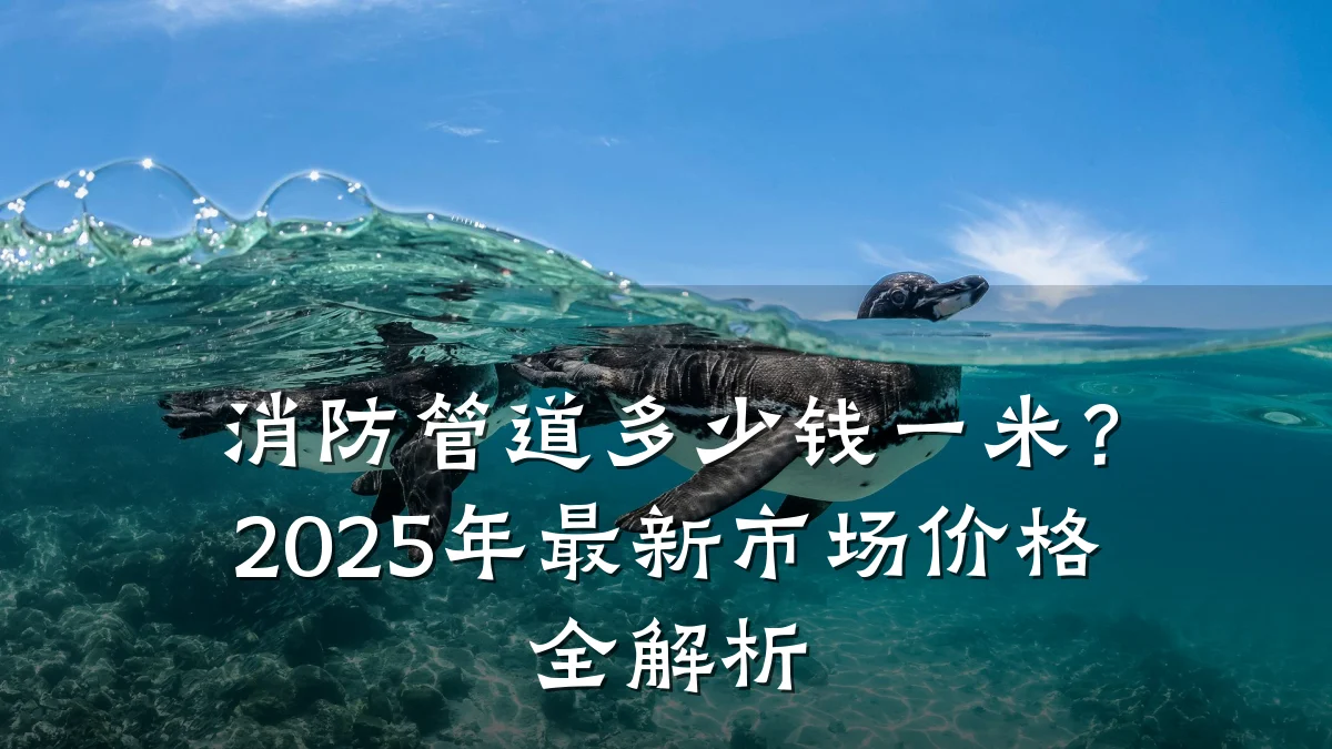 消防管道多少钱一米?2025年最新市场价格全解析