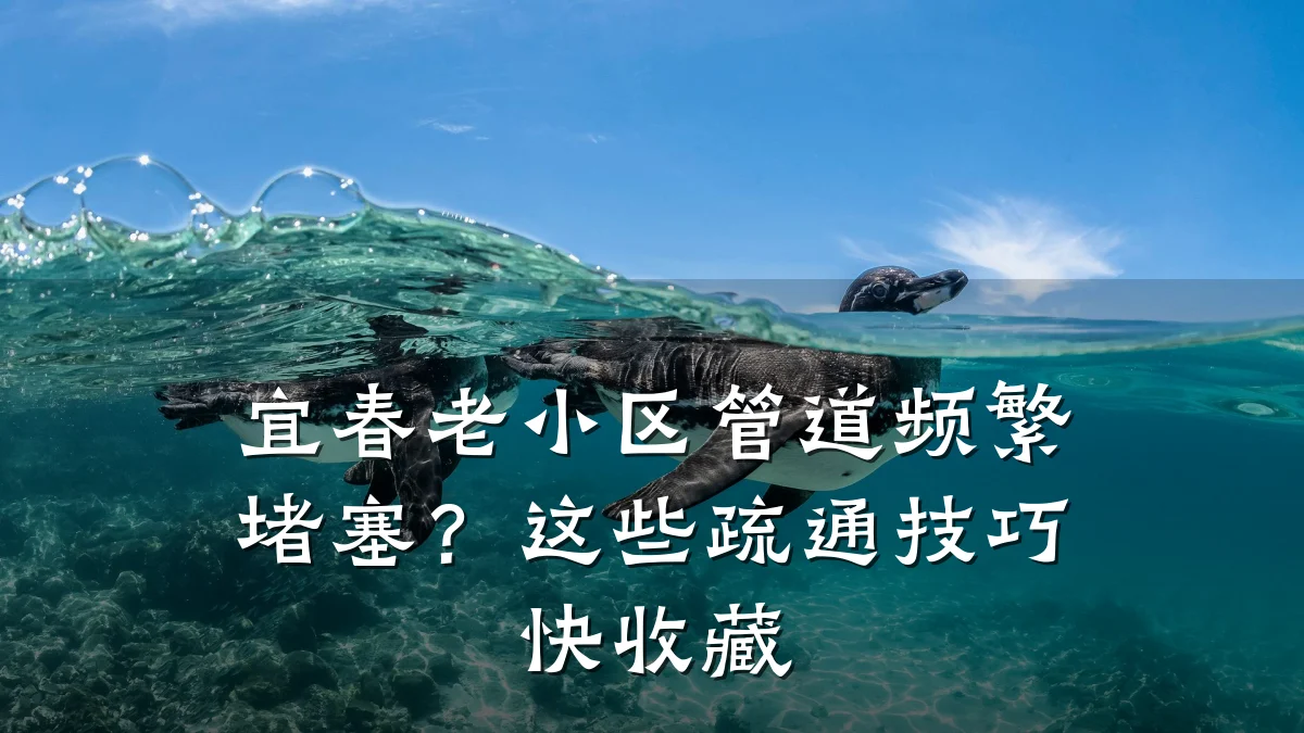 宜春老小区管道频繁堵塞?这些疏通技巧快收藏
