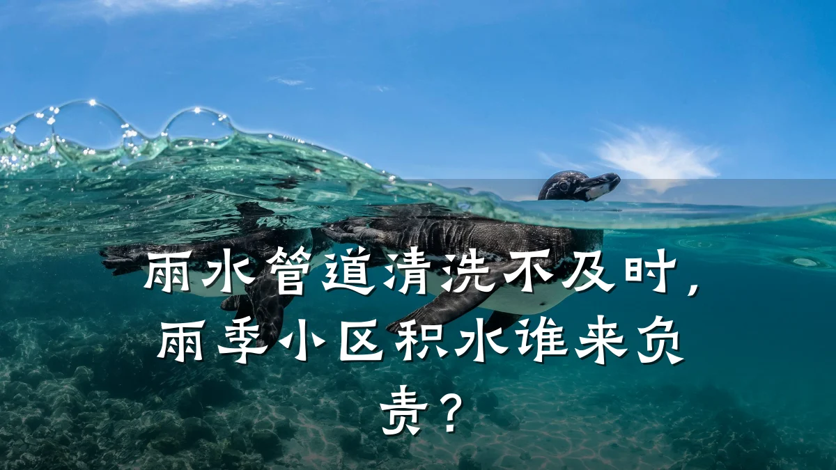 雨水管道清洗不及时,雨季小区积水谁来负责?