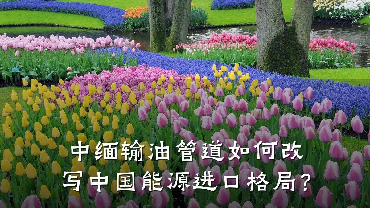 中缅输油管道如何改写中国能源进口格局?