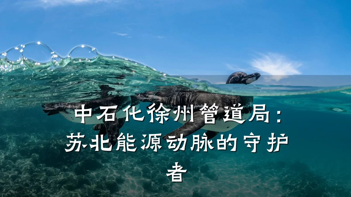 中石化徐州管道局:苏北能源动脉的守护者