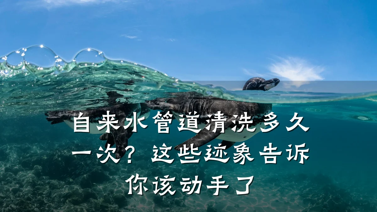 自来水管道清洗多久一次?这些迹象告诉你该动手了