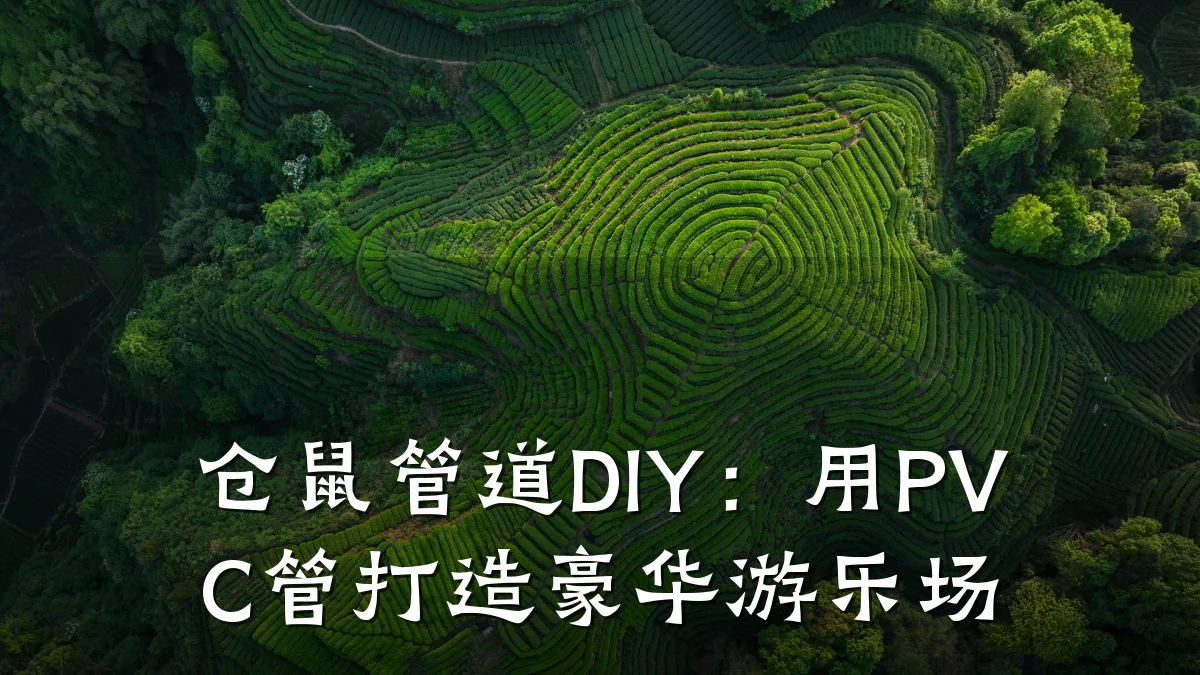仓鼠管道DIY:用PVC管打造豪华游乐场