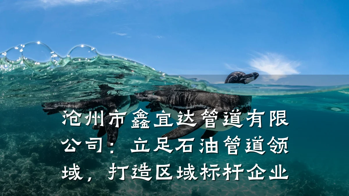 沧州市鑫宜达管道有限公司:立足石油管道领域,打造区域标杆企业