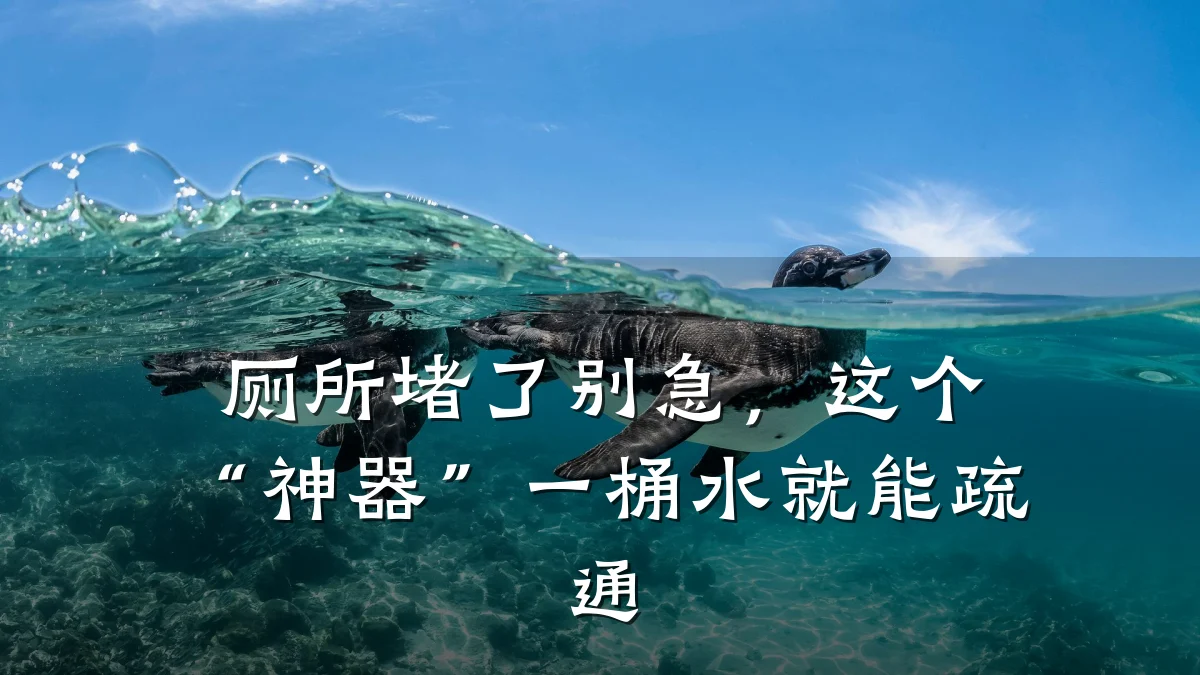 厕所堵了别急,这个“神器”一桶水就能疏通