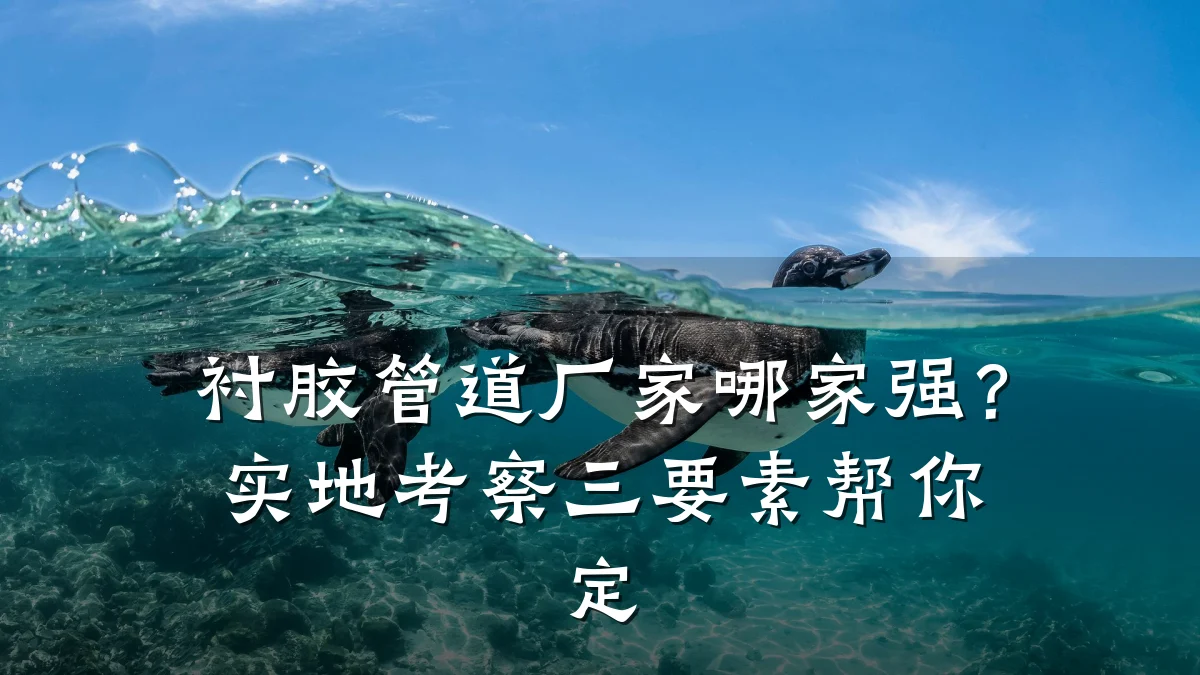 衬胶管道厂家哪家强?实地考察三要素帮你定