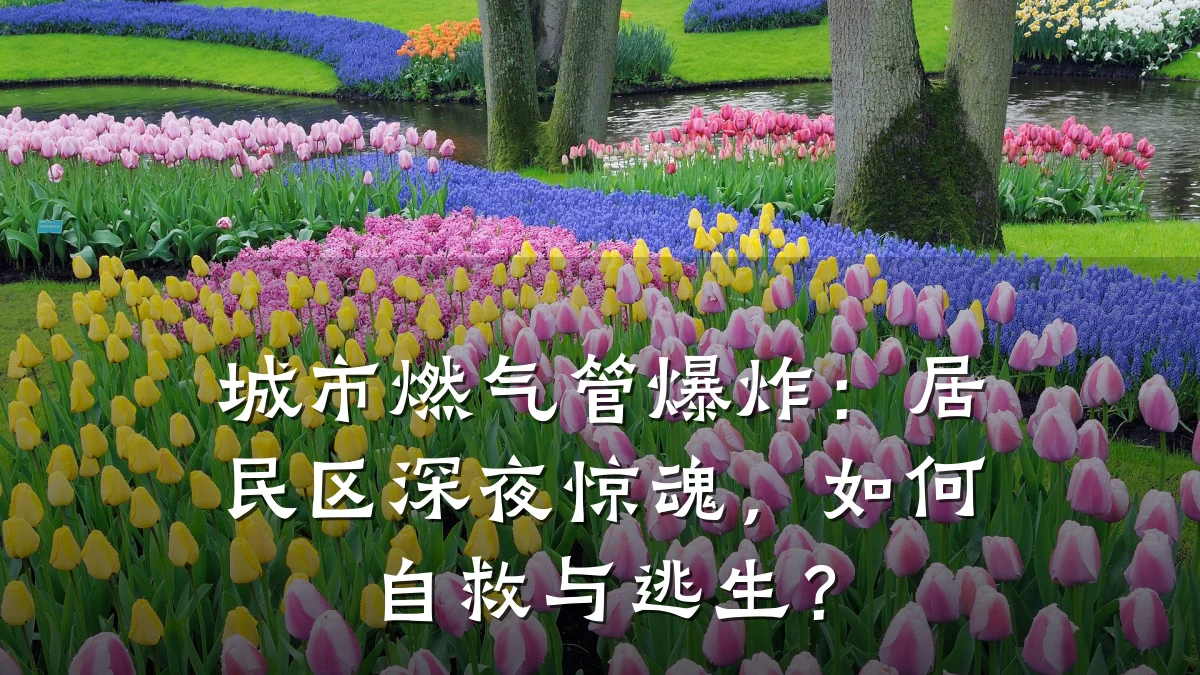 城市燃气管爆炸:居民区深夜惊魂,如何自救与逃生?