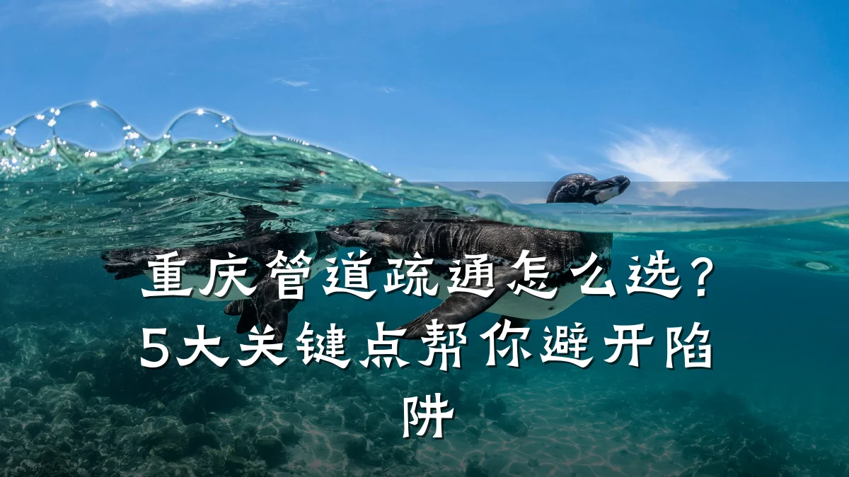 重庆管道疏通怎么选?5大关键点帮你避开陷阱