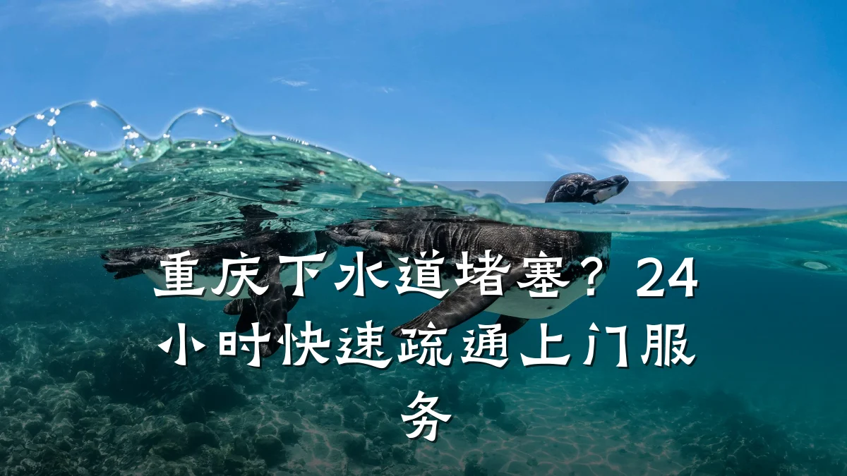 重庆下水道堵塞?24小时快速疏通上门服务