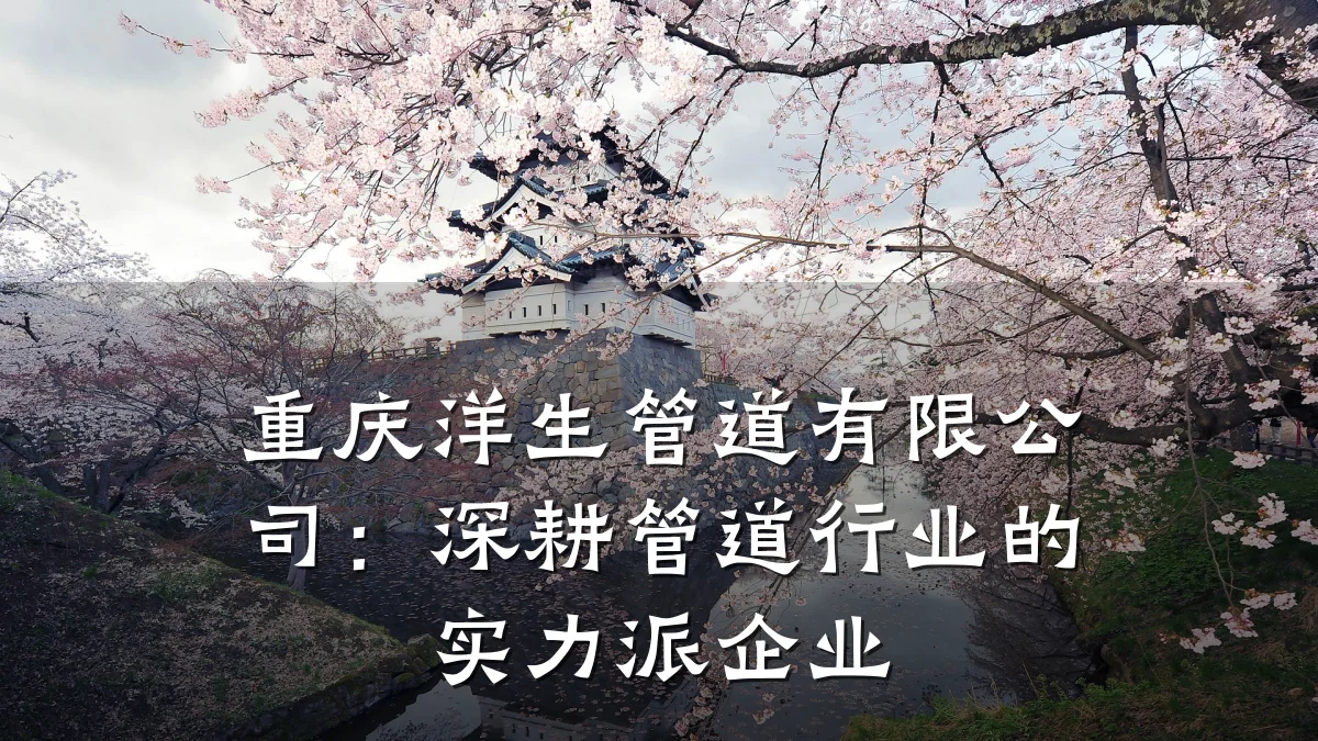 重庆洋生管道有限公司:深耕管道行业的实力派企业