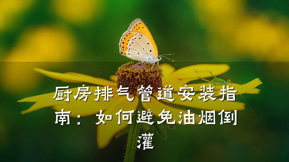 厨房排气管道安装指南:如何避免油烟倒灌