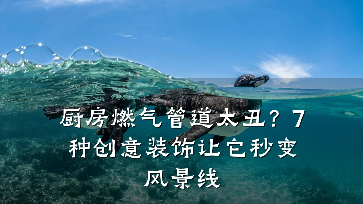 厨房燃气管道太丑?7种创意装饰让它秒变风景线
