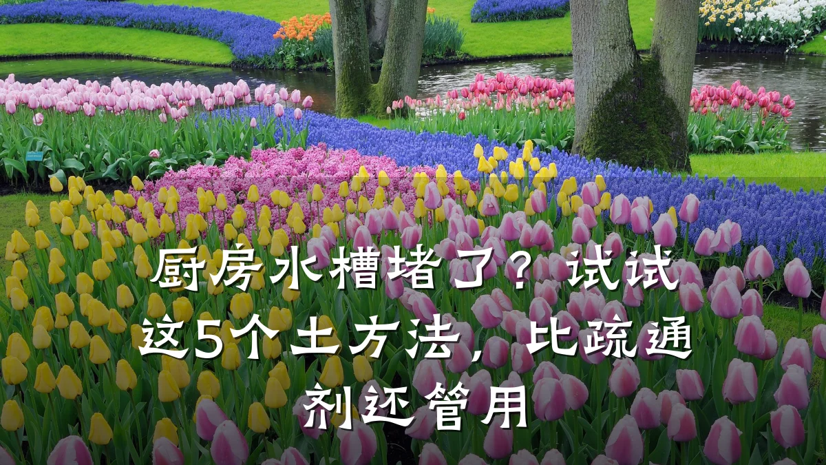 厨房水槽堵了?试试这5个土方法,比疏通剂还管用