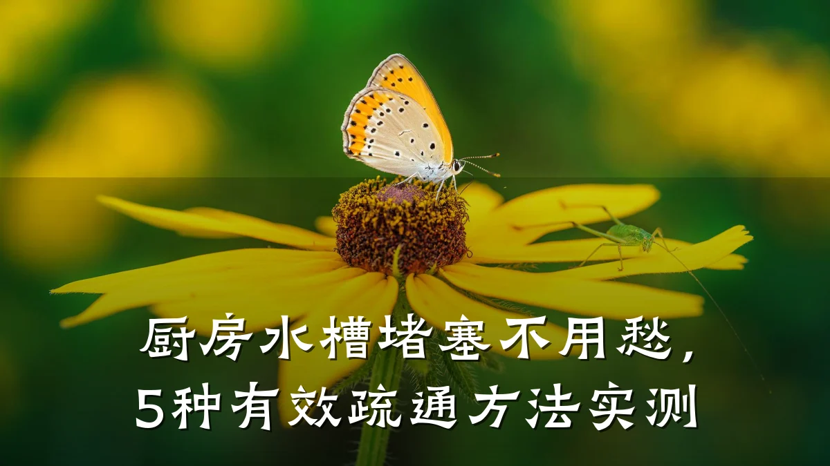 厨房水槽堵塞不用愁,5种有效疏通方法实测