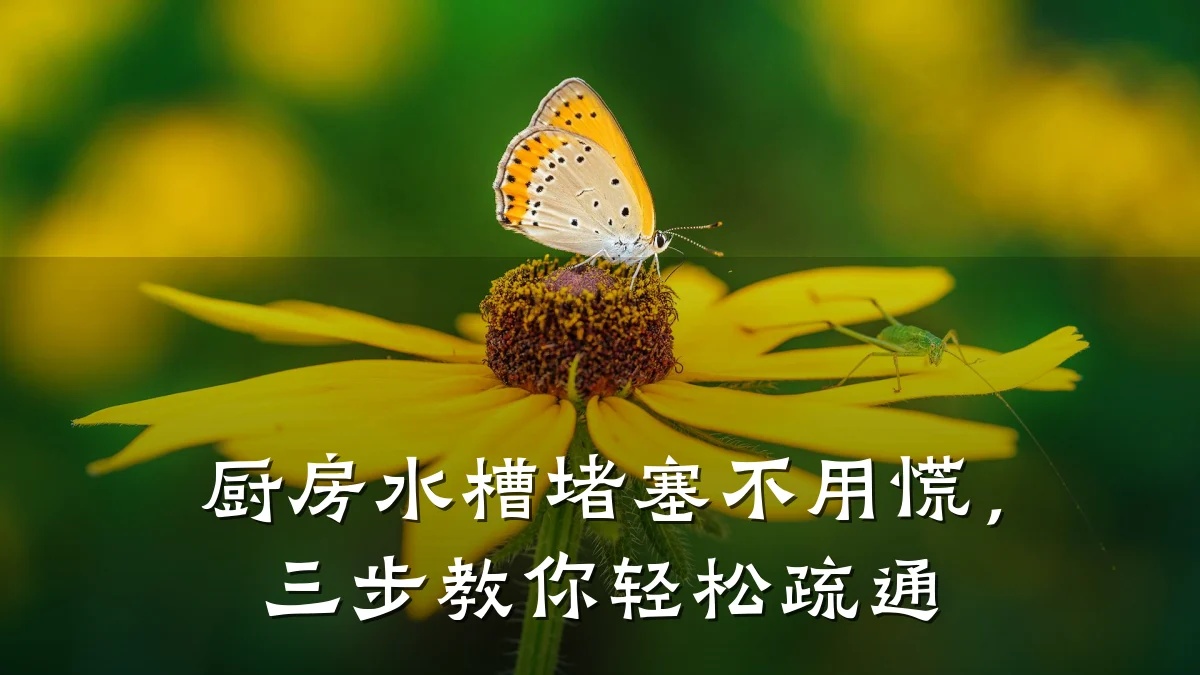 厨房水槽堵塞不用慌,三步教你轻松疏通