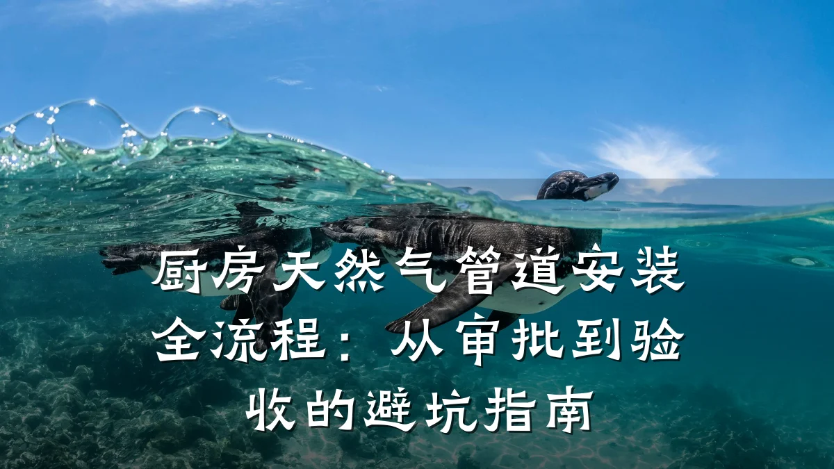 厨房天然气管道安装全流程:从审批到验收的避坑指南