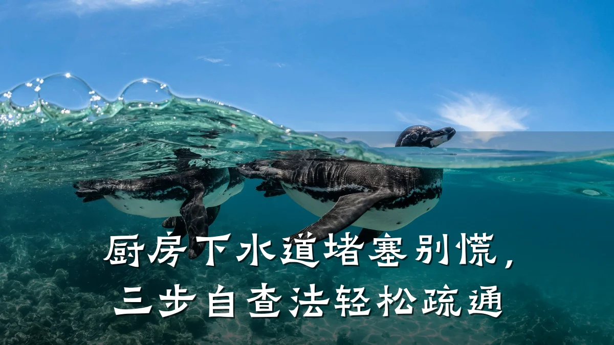 厨房下水道堵塞别慌，三步自查法轻松疏通