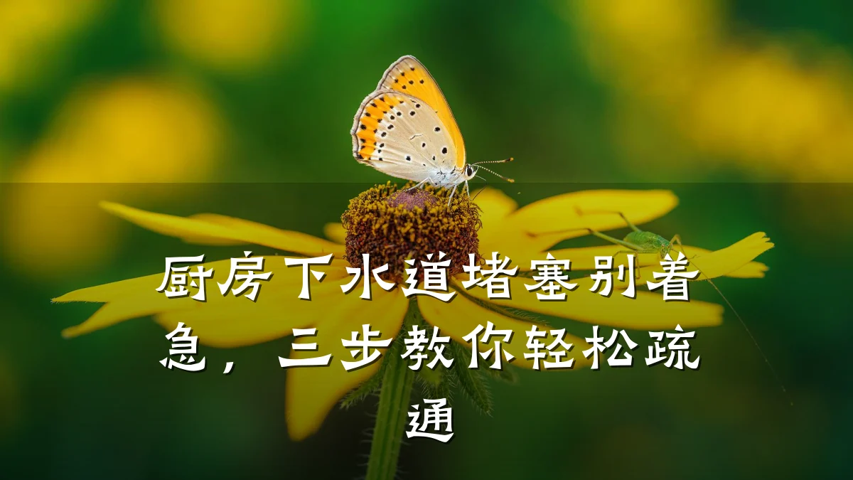 厨房下水道堵塞别着急,三步教你轻松疏通