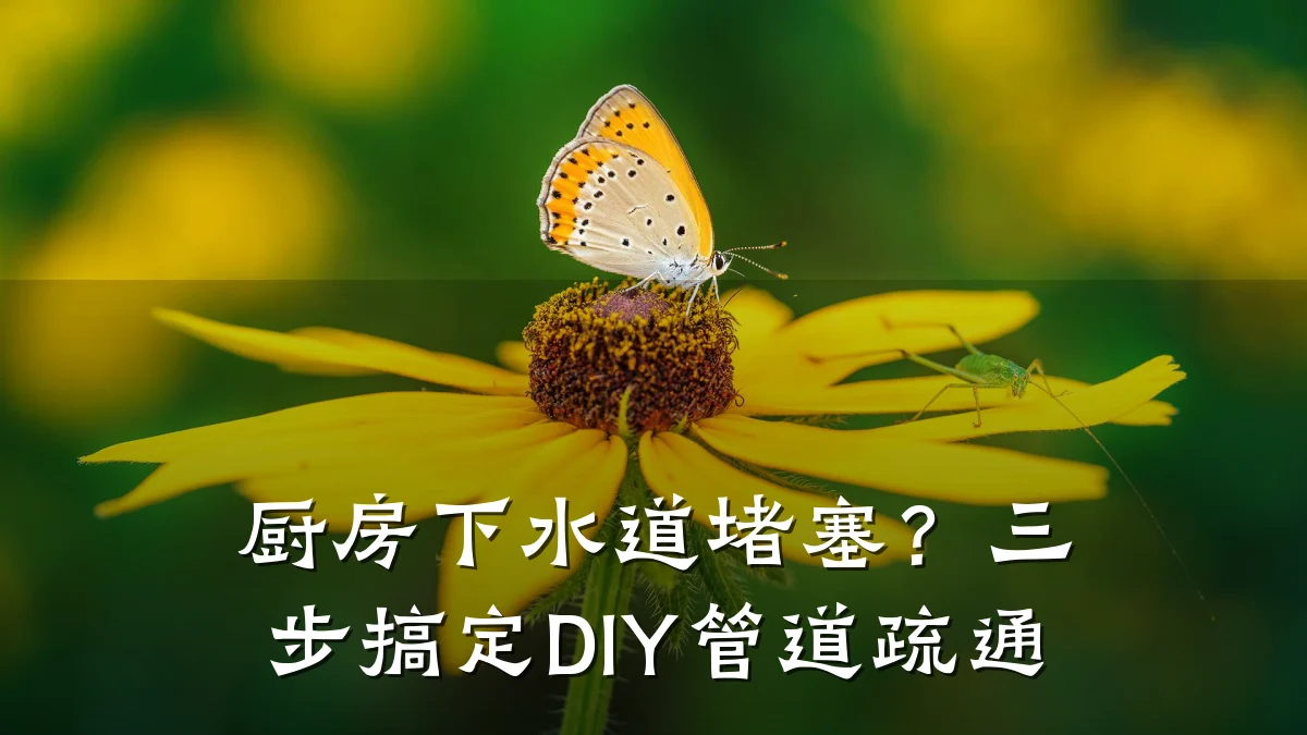 厨房下水道堵塞?三步搞定DIY管道疏通