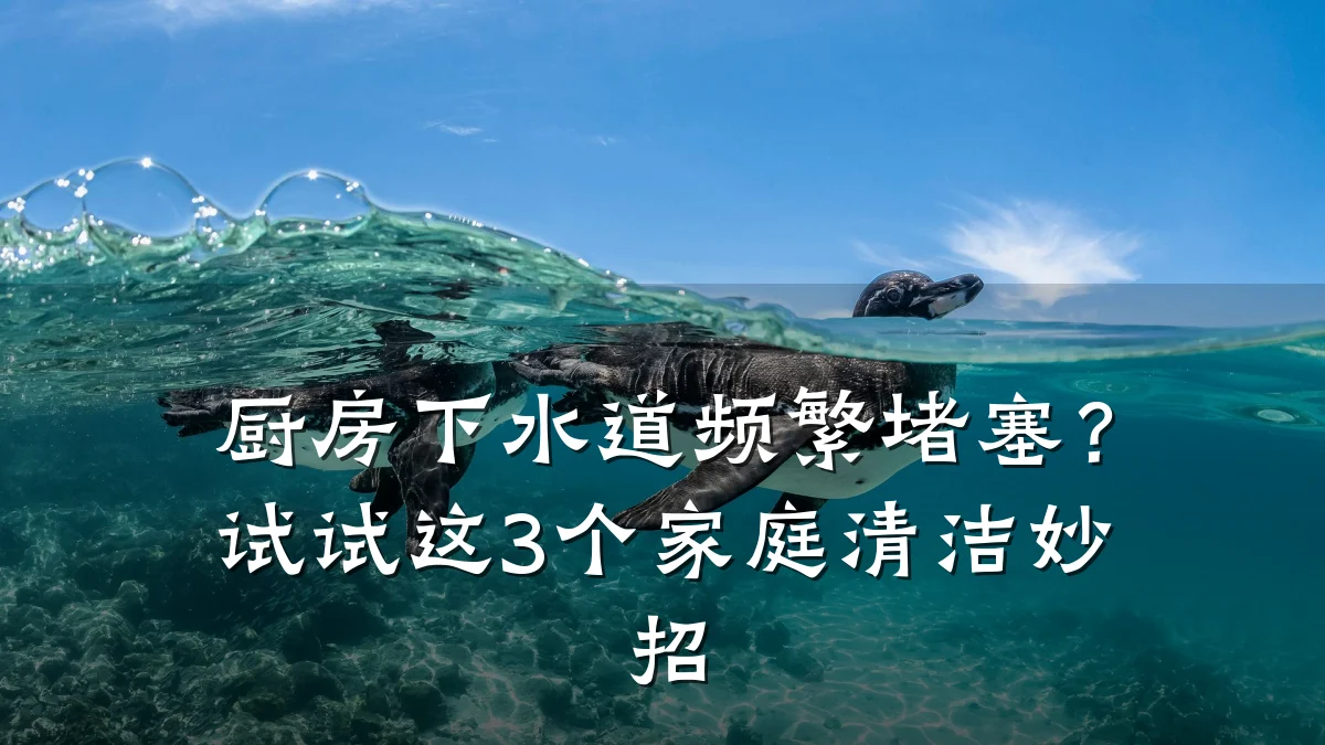 厨房下水道频繁堵塞?试试这3个家庭清洁妙招