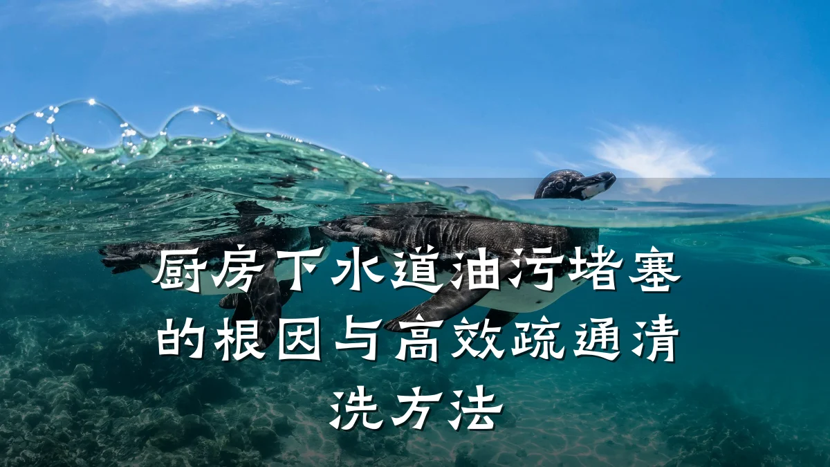 厨房下水道油污堵塞的根因与高效疏通清洗方法