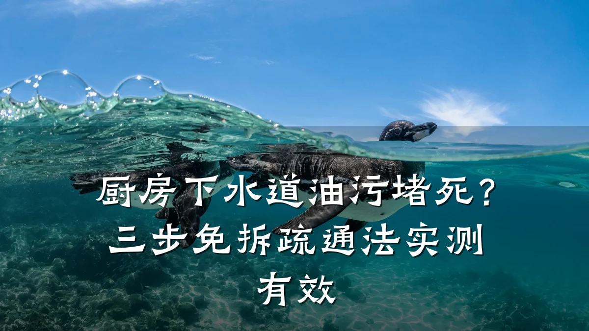 厨房下水道油污堵死?三步免拆疏通法实测有效