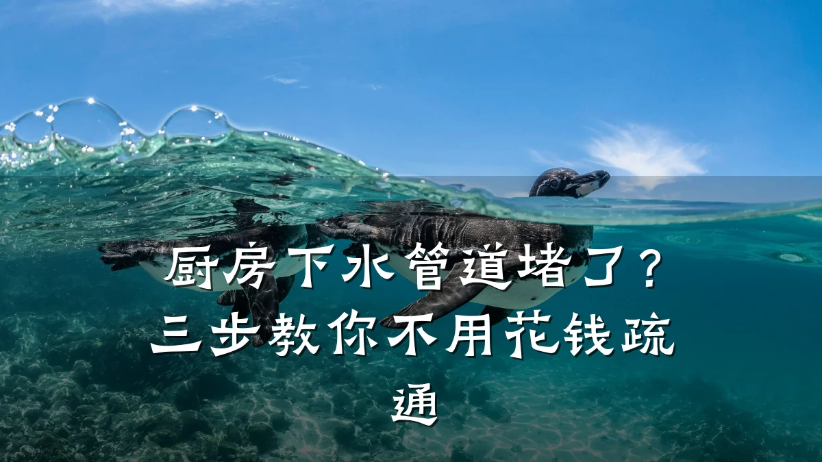 厨房下水管道堵了?三步教你不用花钱疏通