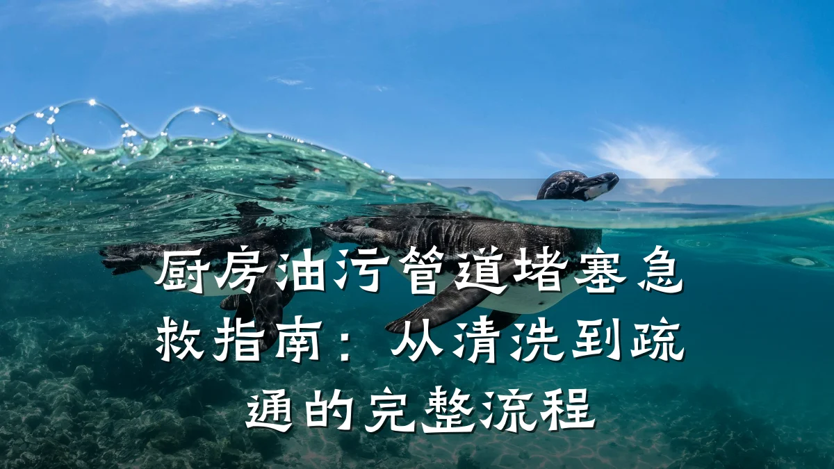 厨房油污管道堵塞急救指南:从清洗到疏通的完整流程