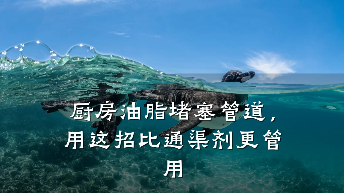 厨房油脂堵塞管道,用这招比通渠剂更管用