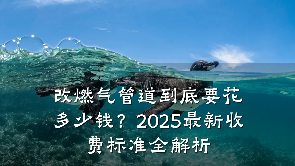 改燃气管道到底要花多少钱?2025最新收费标准全解析