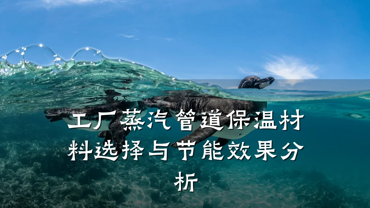 工厂蒸汽管道保温材料选择与节能效果分析