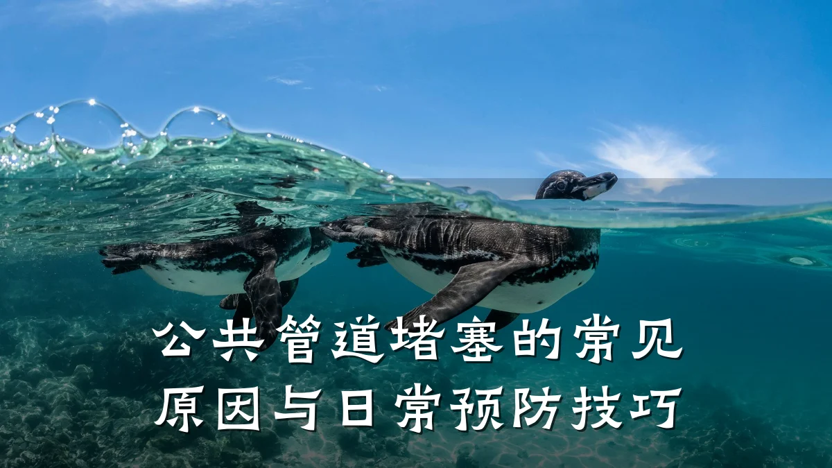 公共管道堵塞的常见原因与日常预防技巧