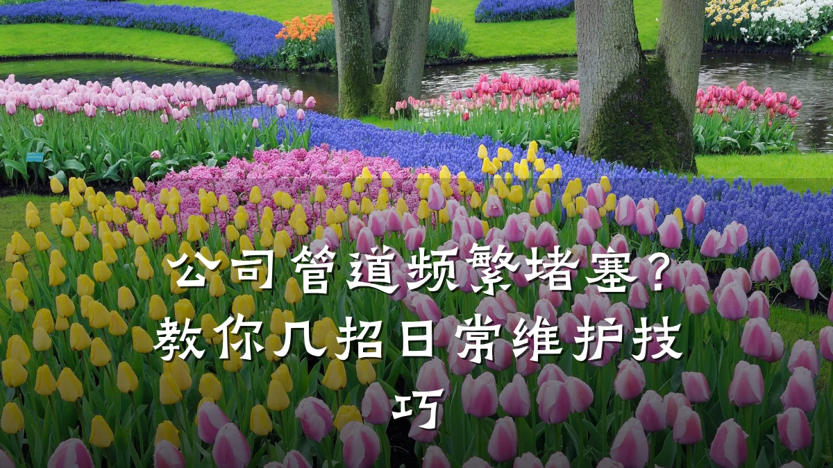 公司管道频繁堵塞?教你几招日常维护技巧