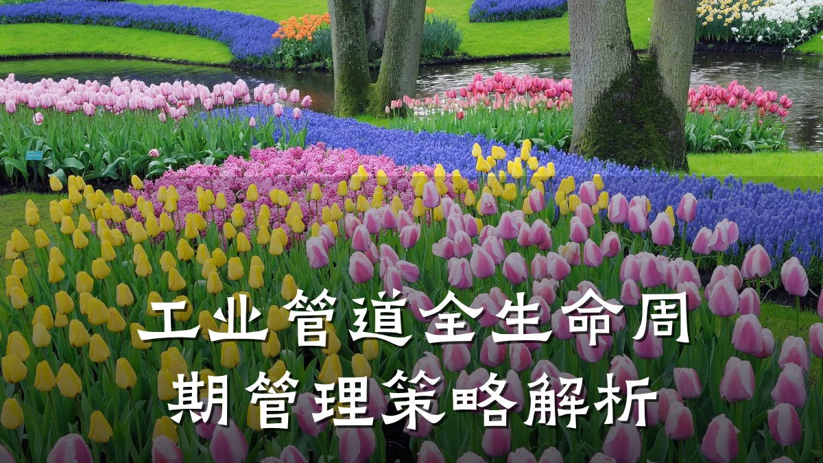 工业管道全生命周期管理策略解析