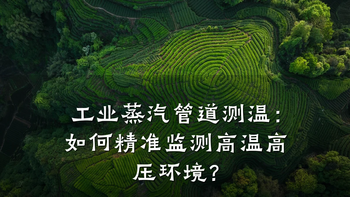 工业蒸汽管道测温:如何精准监测高温高压环境?