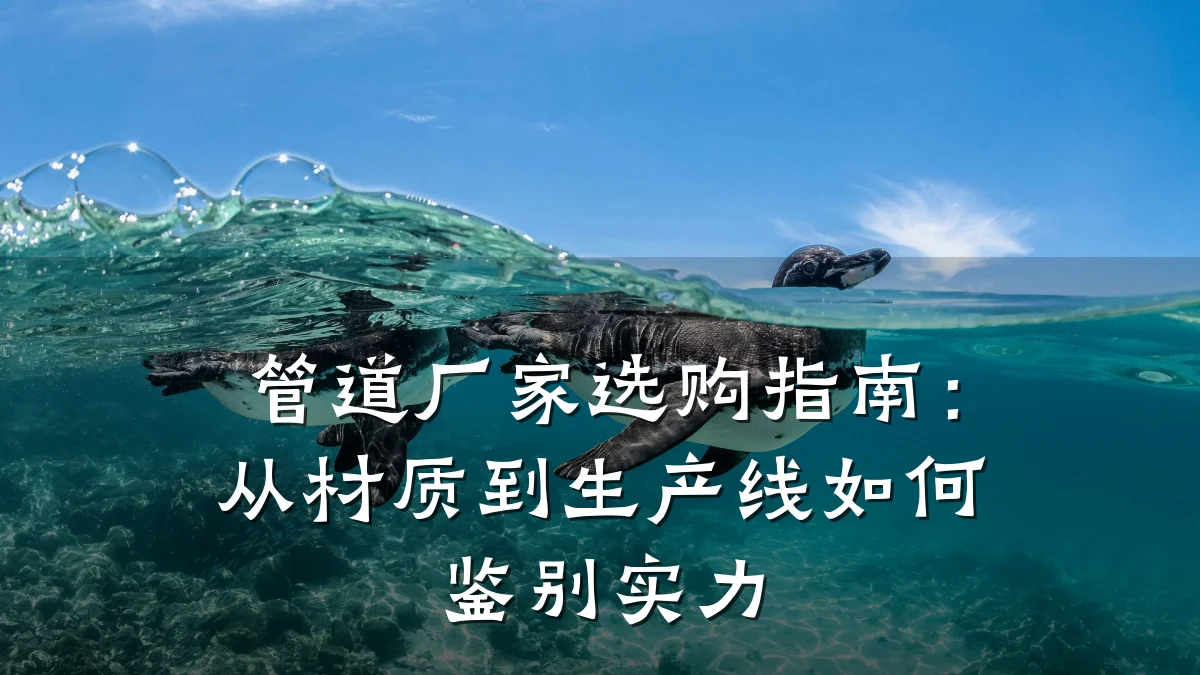 管道厂家选购指南:从材质到生产线如何鉴别实力
