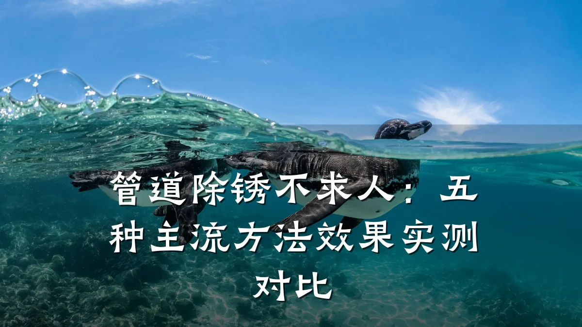 管道除锈不求人:五种主流方法效果实测对比
