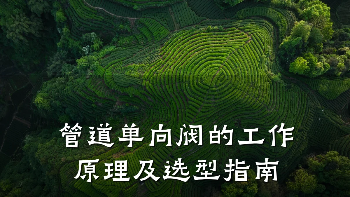 管道单向阀的工作原理及选型指南