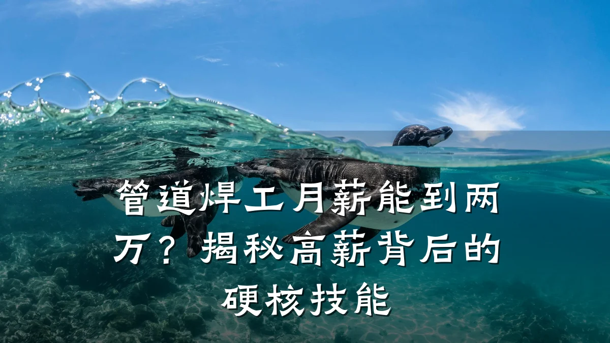 管道焊工月薪能到两万？揭秘高薪背后的硬核技能