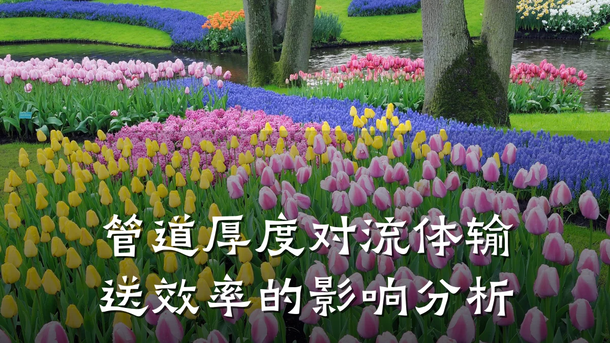 管道厚度对流体输送效率的影响分析