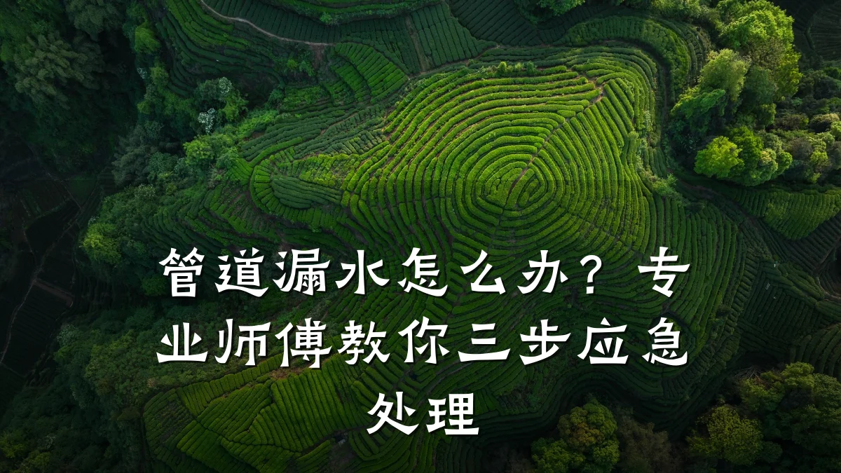 管道漏水怎么办?专业师傅教你三步应急处理