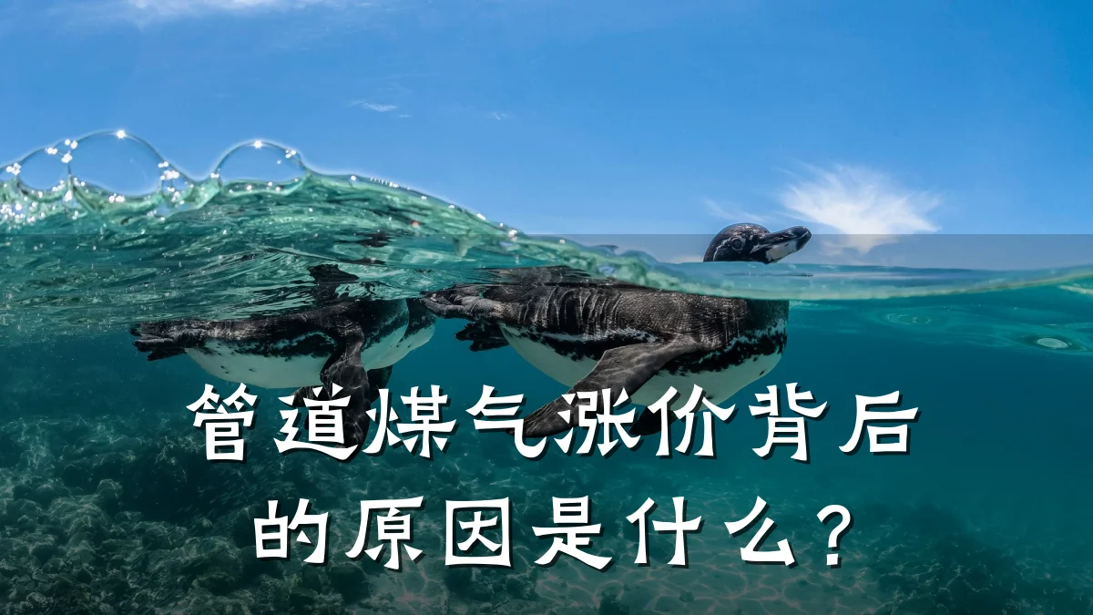 管道煤气涨价背后的原因是什么?